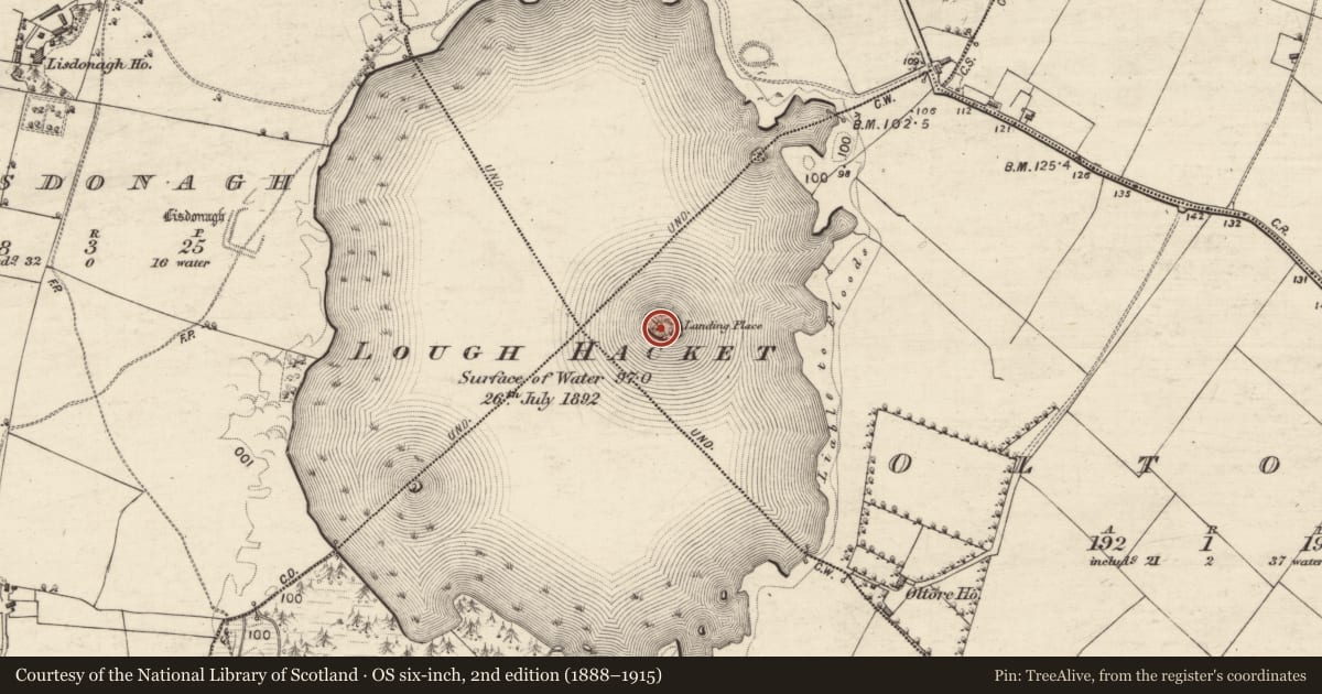 Ordnance Survey six-inch map, 2nd edition (1888–1915) covering the location of Designed landscape - folly, Oltore, County Galway, with a pin at the register's coordinates