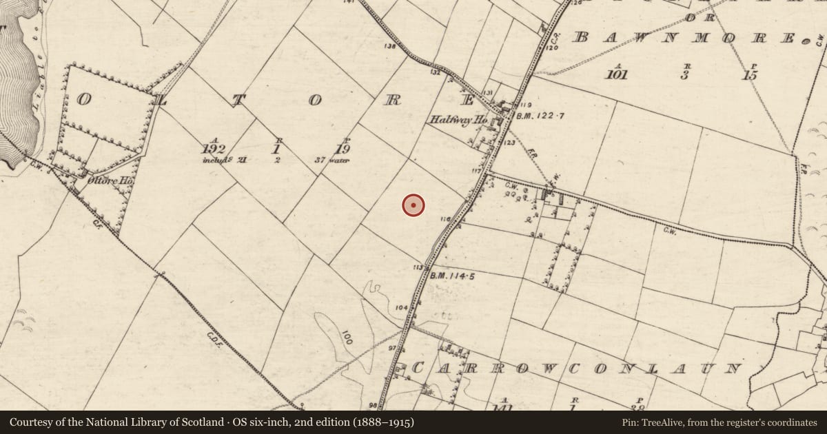 Ordnance Survey six-inch map, 2nd edition (1888–1915) covering the location of Mass-rock, Oltore, County Galway, with a pin at the register's coordinates