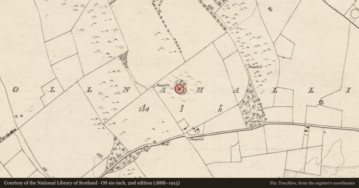 Ordnance Survey six-inch map, 2nd edition (1888–1915) covering the location of Designed landscape feature, Pollnahallia, County Galway, with a pin at the register's coordinates