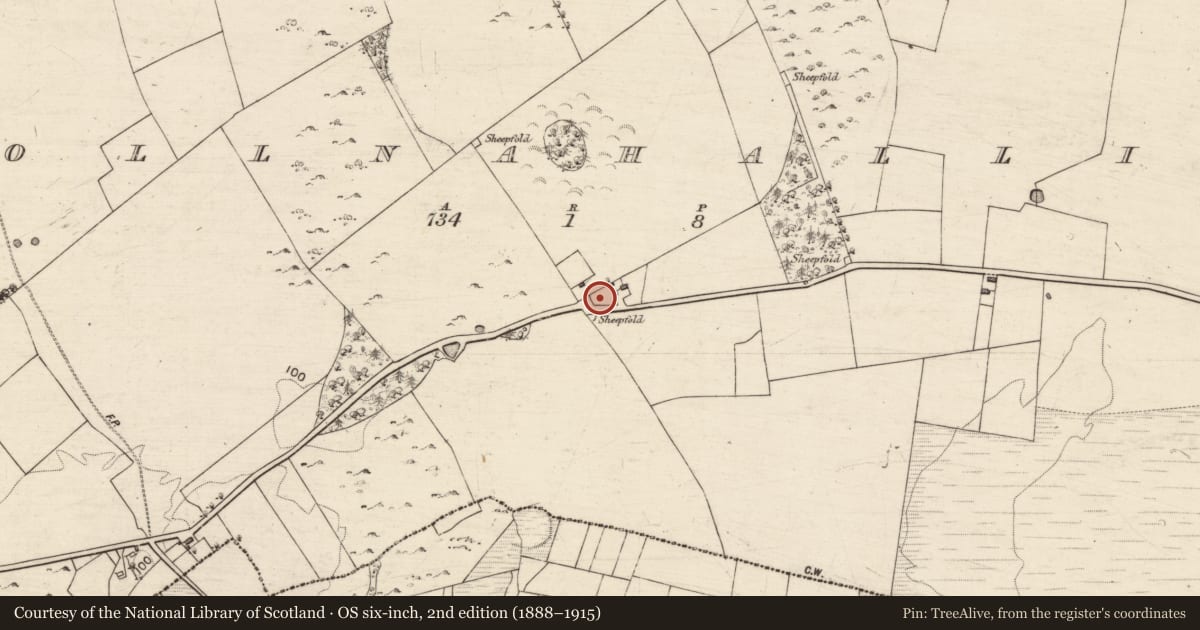 Ordnance Survey six-inch map, 2nd edition (1888–1915) covering the location of Souterrain, Pollnahallia, County Galway, with a pin at the register's coordinates