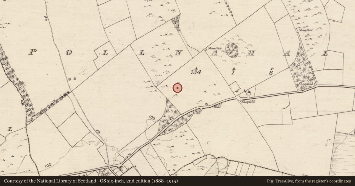Ordnance Survey six-inch map, 2nd edition (1888–1915) covering the location of Souterrain, Pollnahallia, County Galway, with a pin at the register's coordinates