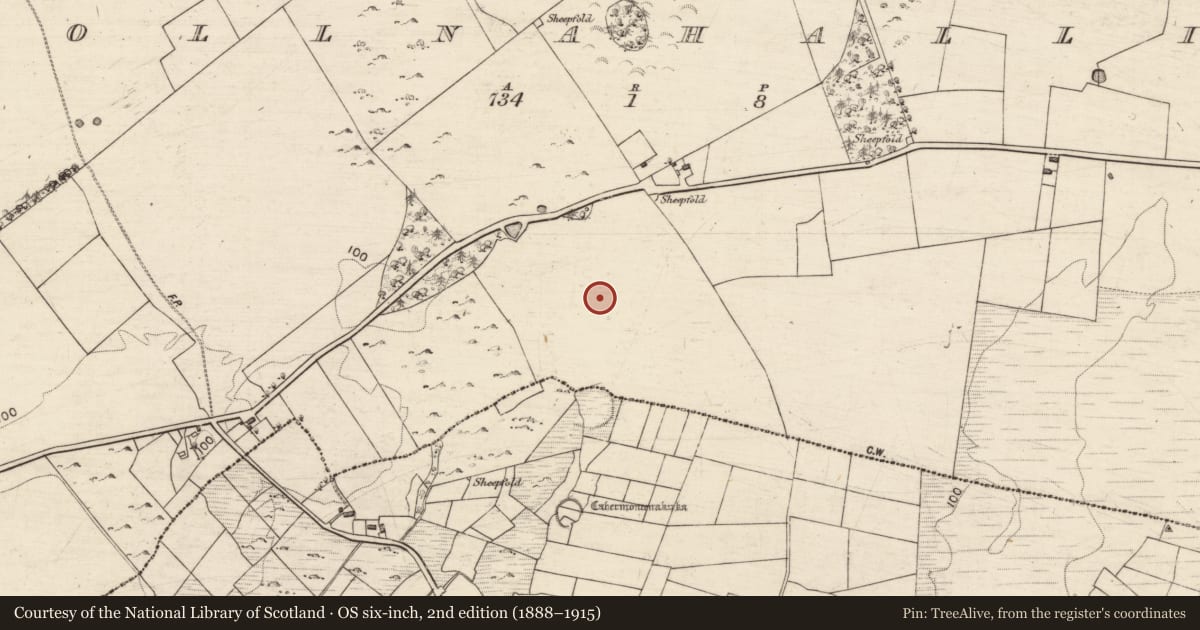 Ordnance Survey six-inch map, 2nd edition (1888–1915) covering the location of Enclosure, Pollnahallia, County Galway, with a pin at the register's coordinates