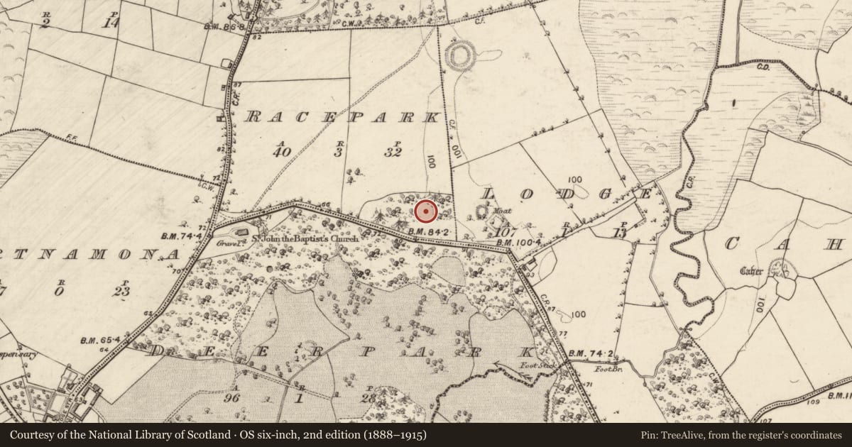 Ordnance Survey six-inch map, 2nd edition (1888–1915) covering the location of Quarry, Racepark, County Galway, with a pin at the register's coordinates