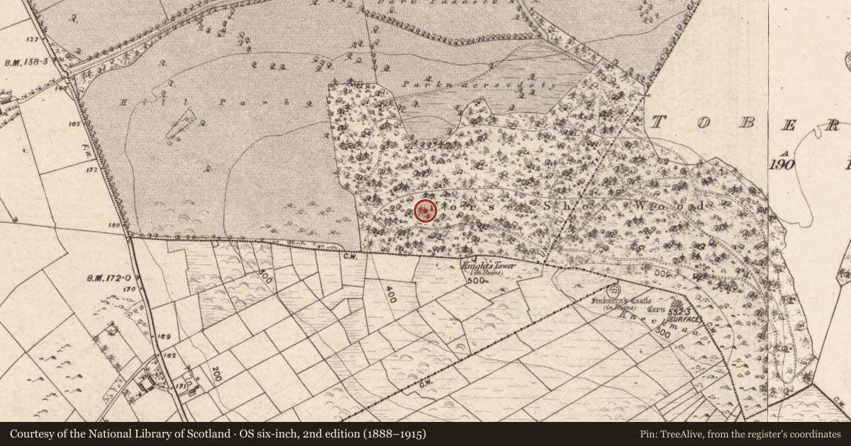 Ordnance Survey six-inch map, 2nd edition (1888–1915) covering the location of Designed landscape - summer house, Castlehacket, County Galway, with a pin at the register's coordinates