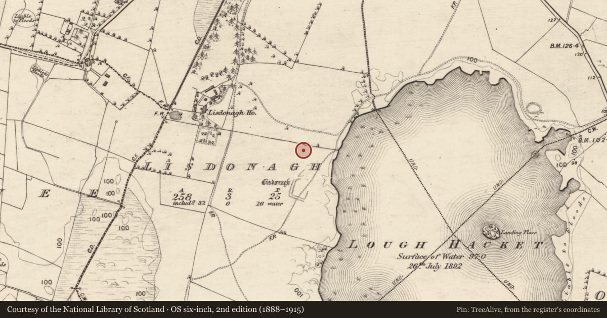 Ordnance Survey six-inch map, 2nd edition (1888–1915) covering the location of Moated site, Lisdonagh, County Galway, with a pin at the register's coordinates