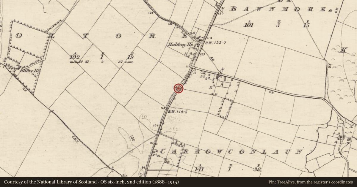 Ordnance Survey six-inch map, 2nd edition (1888–1915) covering the location of Mass-rock (present location), Oltore, County Galway, with a pin at the register's coordinates