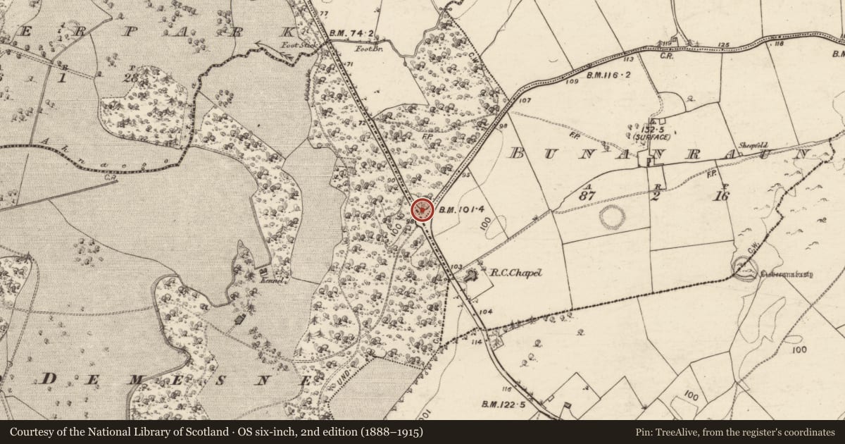 Ordnance Survey six-inch map, 2nd edition (1888–1915) covering the location of Chapel, Lodge, County Galway, with a pin at the register's coordinates