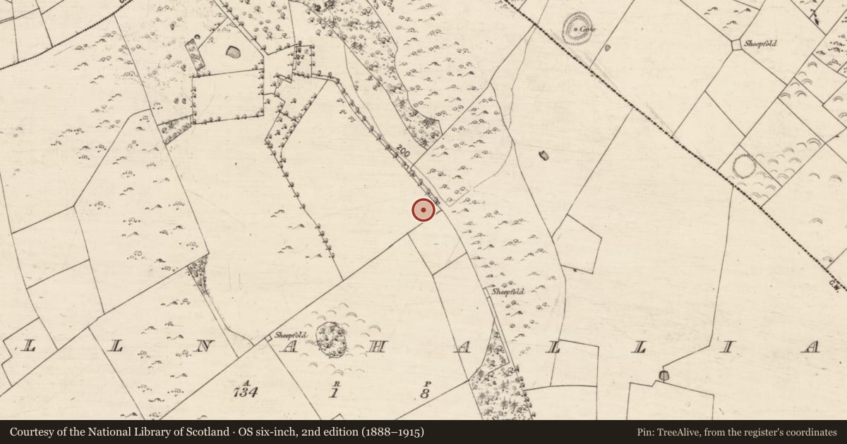 Ordnance Survey six-inch map, 2nd edition (1888–1915) covering the location of Enclosure, Pollnahallia, County Galway, with a pin at the register's coordinates