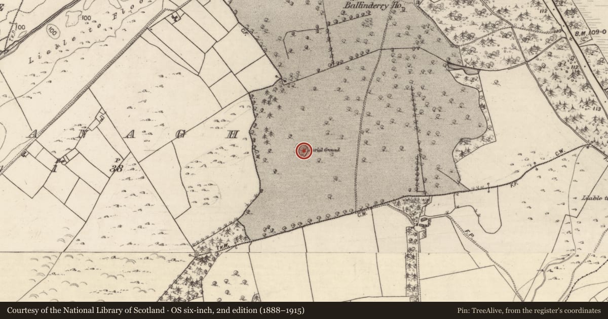 Ordnance Survey six-inch map, 2nd edition (1888–1915) covering the location of Burial ground, Ballinderry, County Galway, with a pin at the register's coordinates