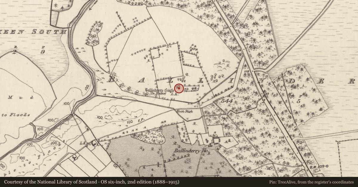 Ordnance Survey six-inch map, 2nd edition (1888–1915) covering the location of Castle - tower house, Ballinderry, County Galway, with a pin at the register's coordinates