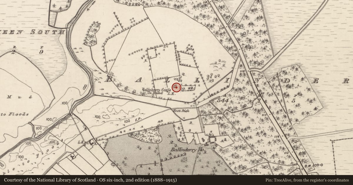 Ordnance Survey six-inch map, 2nd edition (1888–1915) covering the location of Sheela-na-gig, Ballinderry, County Galway, with a pin at the register's coordinates