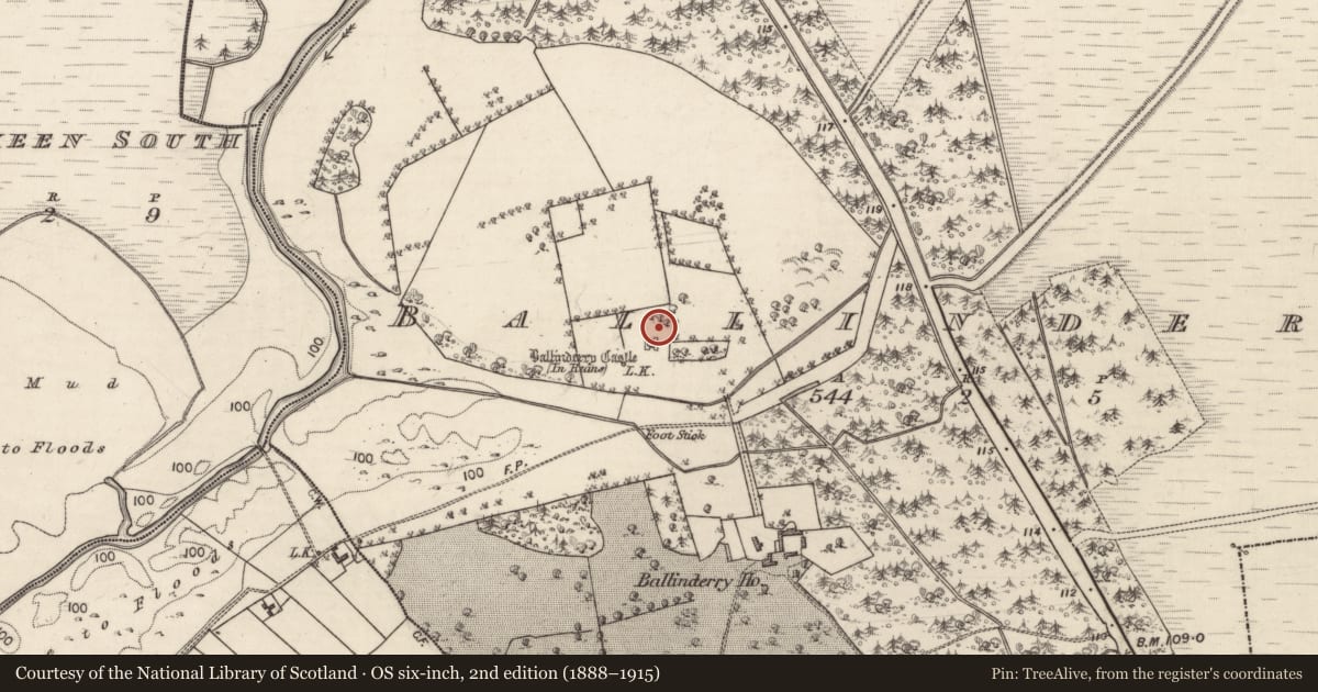 Ordnance Survey six-inch map, 2nd edition (1888–1915) covering the location of Earthwork, Ballinderry, County Galway, with a pin at the register's coordinates