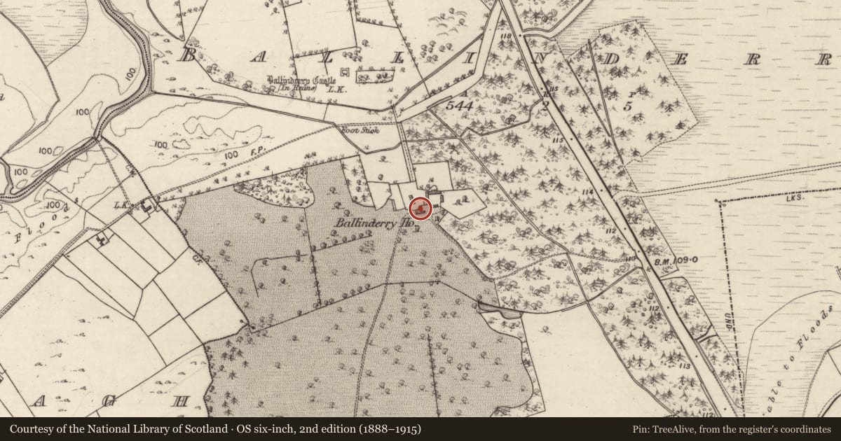 Ordnance Survey six-inch map, 2nd edition (1888–1915) covering the location of Designed landscape - folly, Ballinderry, County Galway, with a pin at the register's coordinates