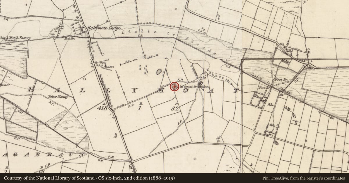 Ordnance Survey six-inch map, 2nd edition (1888–1915) covering the location of Children's burial ground, Ballymoat, County Galway, with a pin at the register's coordinates