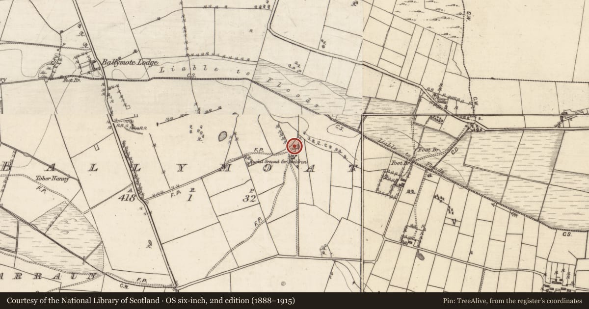 Ordnance Survey six-inch map, 2nd edition (1888–1915) covering the location of Earthwork, Ballymoat, County Galway, with a pin at the register's coordinates