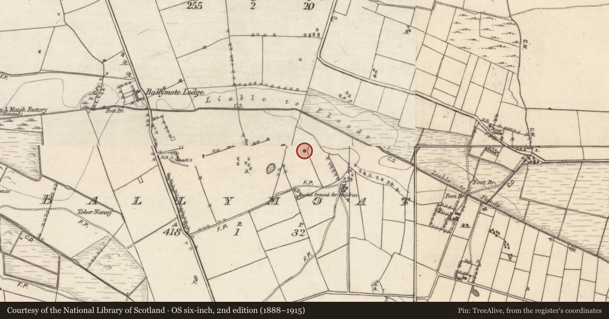 Ordnance Survey six-inch map, 2nd edition (1888–1915) covering the location of Earthwork, Ballymoat, County Galway, with a pin at the register's coordinates