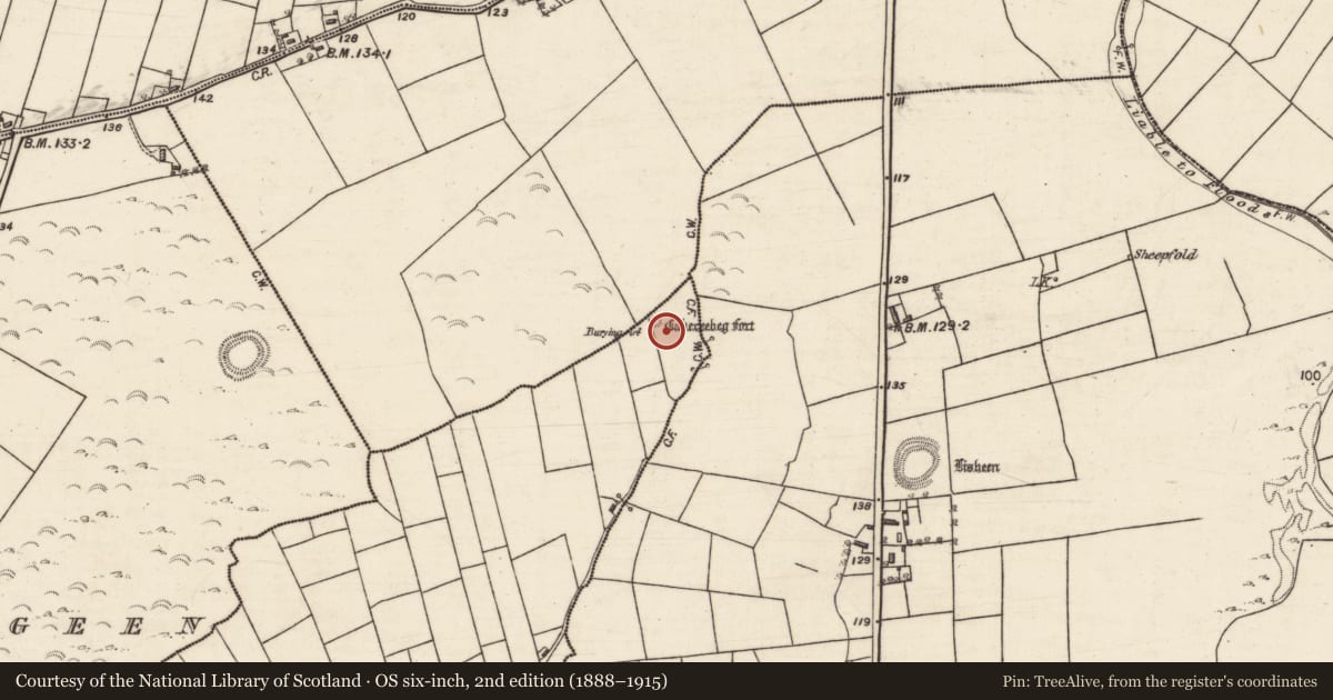 Ordnance Survey six-inch map, 2nd edition (1888–1915) covering the location of Children's burial ground, Caherhugh, County Galway, with a pin at the register's coordinates