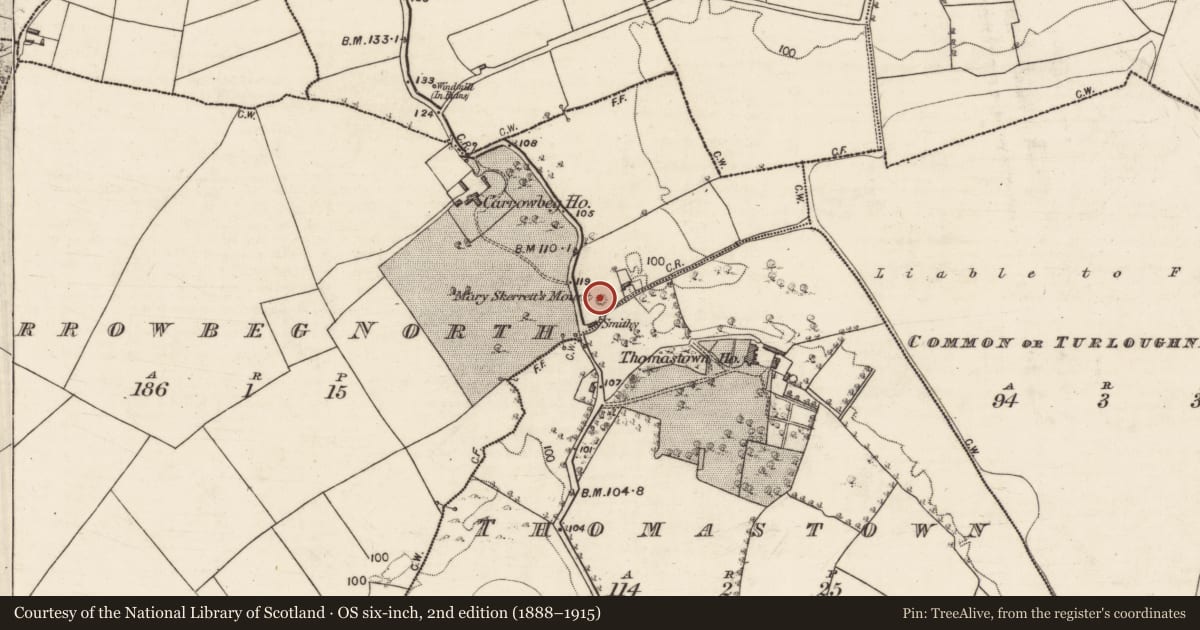 Ordnance Survey six-inch map, 2nd edition (1888–1915) covering the location of Burial, Carrowbeg North, County Galway, with a pin at the register's coordinates