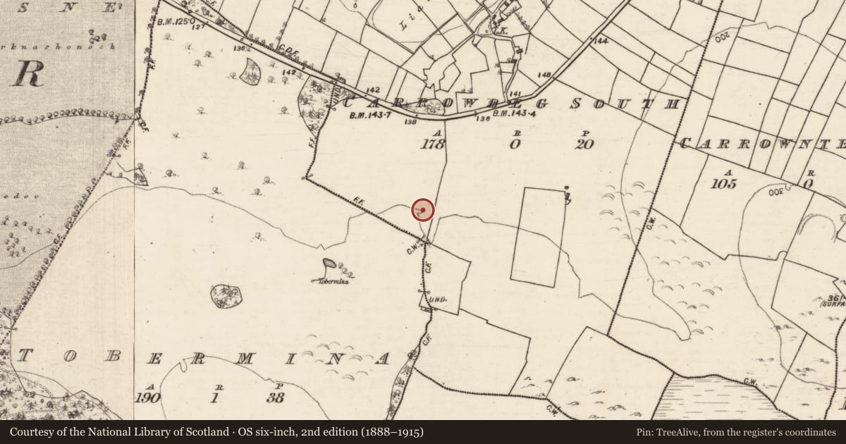 Ordnance Survey six-inch map, 2nd edition (1888–1915) covering the location of Children's burial ground, Carrowbeg South, County Galway, with a pin at the register's coordinates