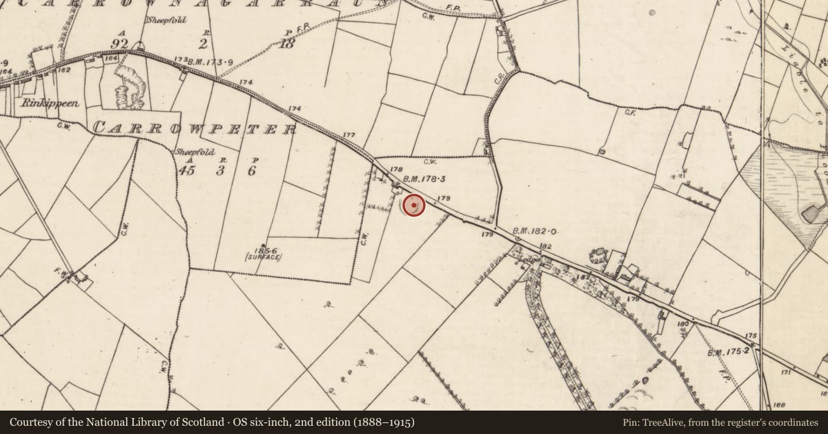 Ordnance Survey six-inch map, 2nd edition (1888–1915) covering the location of Ringfort - rath, Carrowmoneen, County Galway, with a pin at the register's coordinates