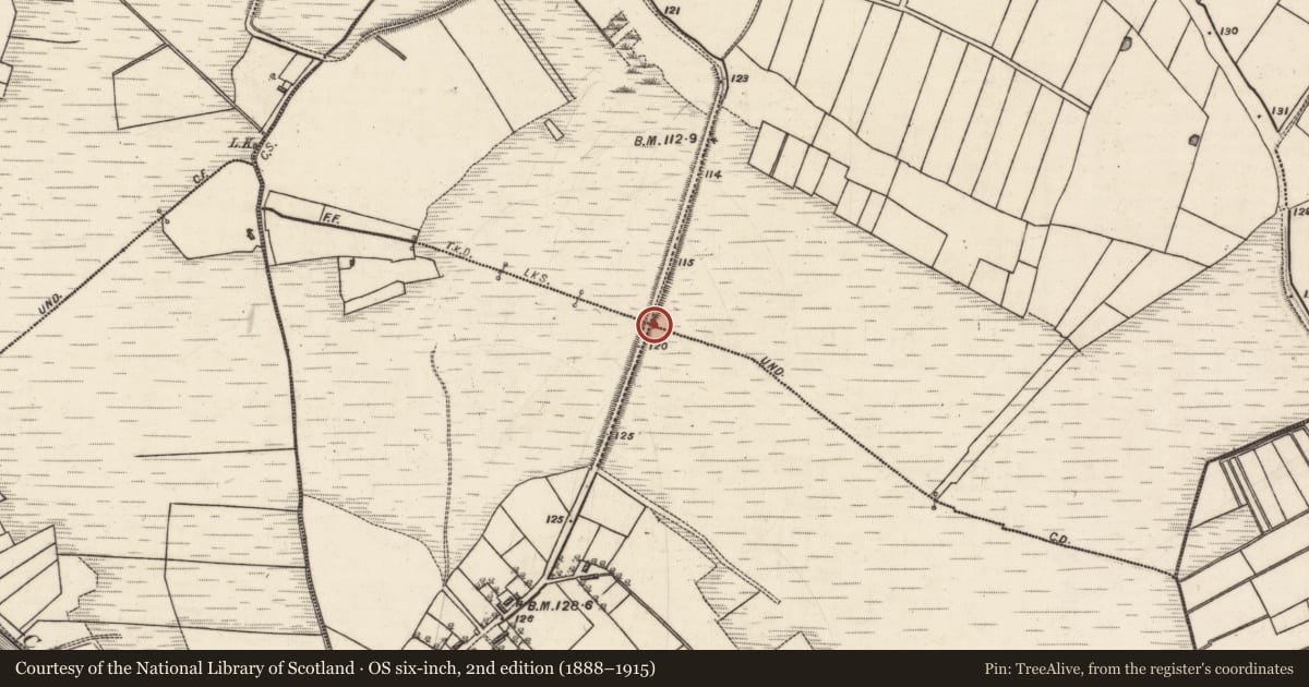 Ordnance Survey six-inch map, 2nd edition (1888–1915) covering the location of Road - gravel/stone trackway - peatland, Cloondarone, Cloontooa, County Galway, with a pin at the register's coordinates