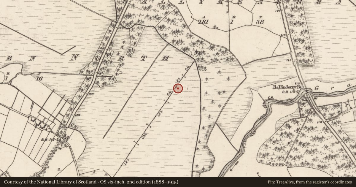 Ordnance Survey six-inch map, 2nd edition (1888–1915) covering the location of Boundary mound, Cloonkeen North, Cloonkeen South, County Galway, with a pin at the register's coordinates