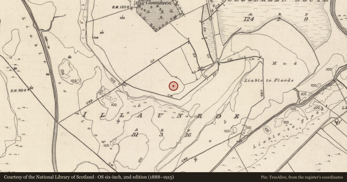Ordnance Survey six-inch map, 2nd edition (1888–1915) covering the location of Ecclesiastical enclosure, Cloonkeen South, County Galway, with a pin at the register's coordinates