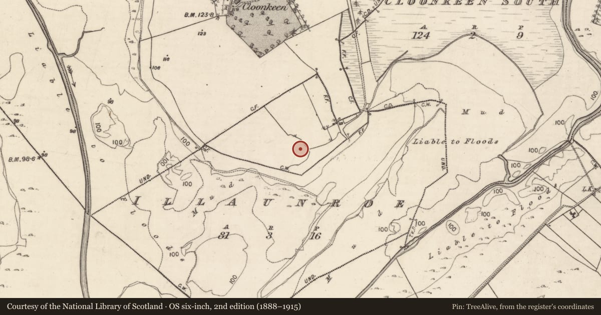 Ordnance Survey six-inch map, 2nd edition (1888–1915) covering the location of Children's burial ground, Cloonkeen South, County Galway, with a pin at the register's coordinates
