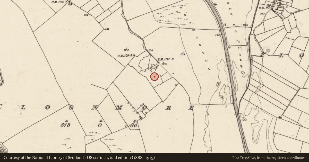 Ordnance Survey six-inch map, 2nd edition (1888–1915) covering the location of Field system, Cloonmore, County Galway, with a pin at the register's coordinates