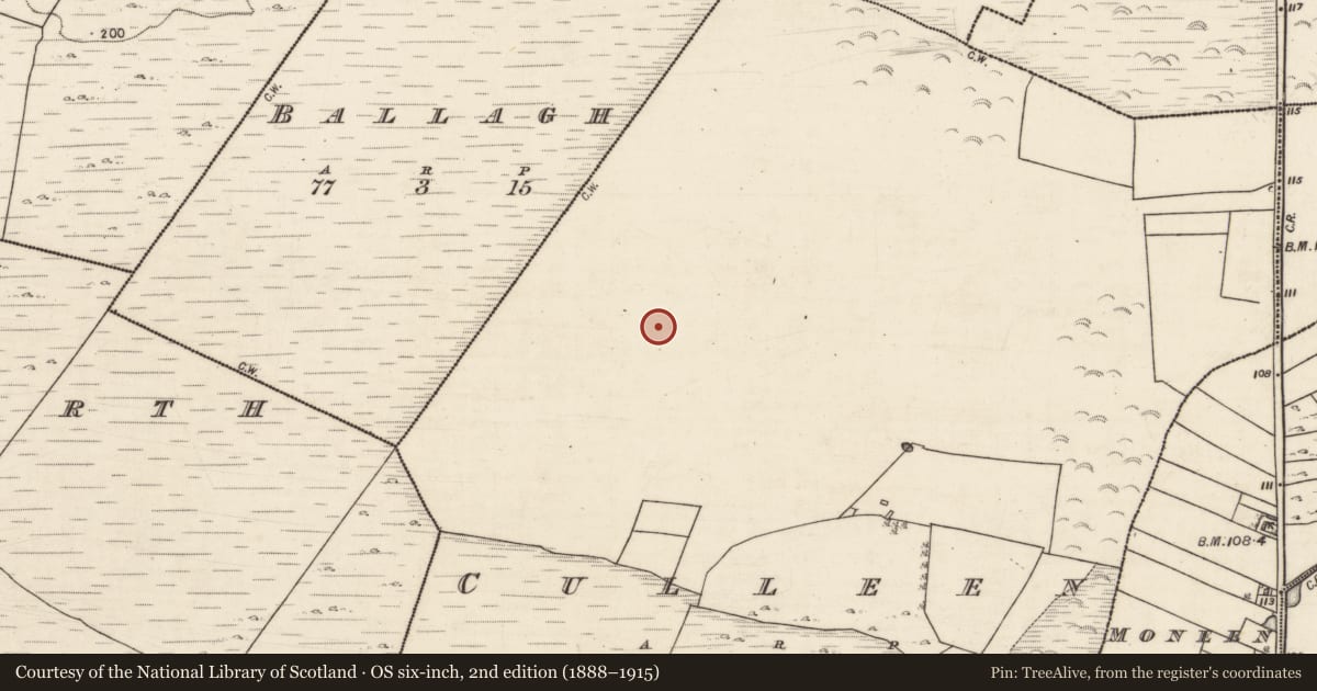 Ordnance Survey six-inch map, 2nd edition (1888–1915) covering the location of Ringfort - unclassified, Culleen, County Galway, with a pin at the register's coordinates