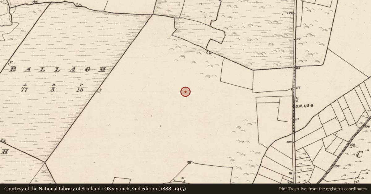 Ordnance Survey six-inch map, 2nd edition (1888–1915) covering the location of Souterrain, Culleen, County Galway, with a pin at the register's coordinates