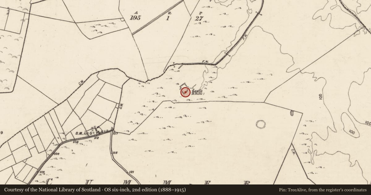Ordnance Survey six-inch map, 2nd edition (1888–1915) covering the location of Bawn, Cummer, County Galway, with a pin at the register's coordinates