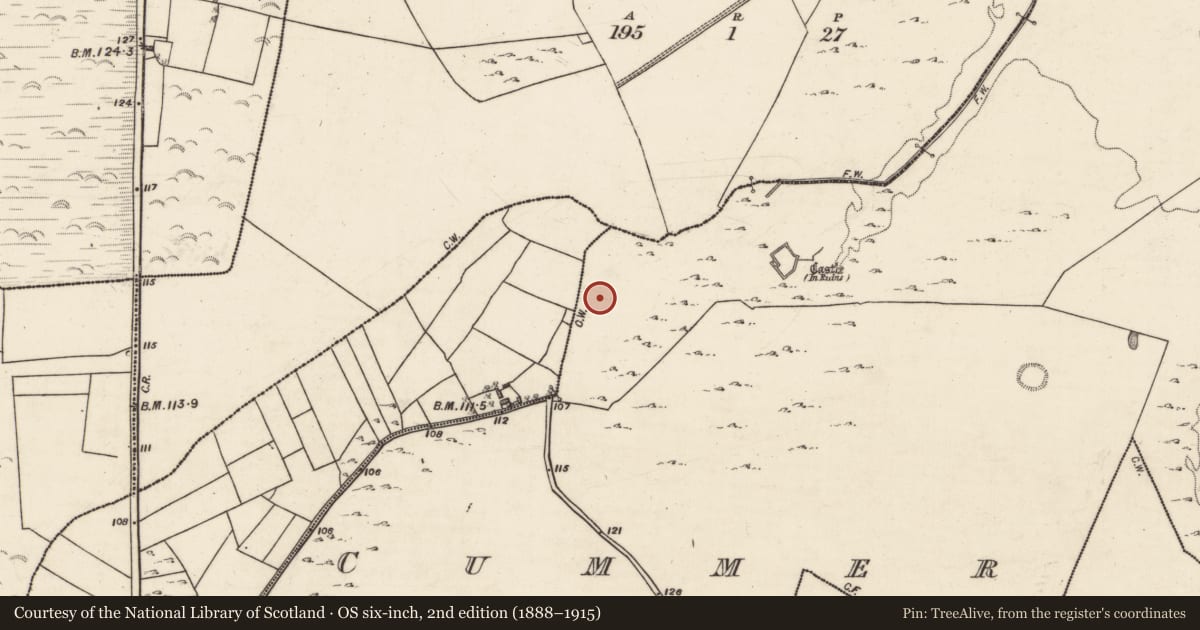 Ordnance Survey six-inch map, 2nd edition (1888–1915) covering the location of Earthwork, Cummer, County Galway, with a pin at the register's coordinates