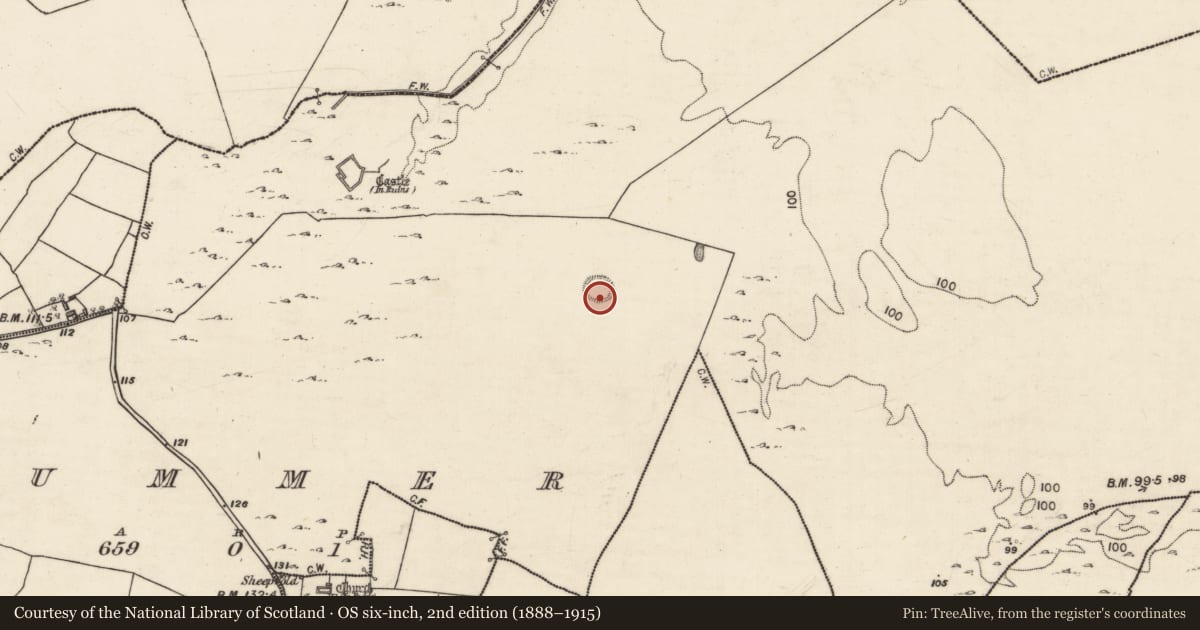 Ordnance Survey six-inch map, 2nd edition (1888–1915) covering the location of Enclosure, Cummer, County Galway, with a pin at the register's coordinates