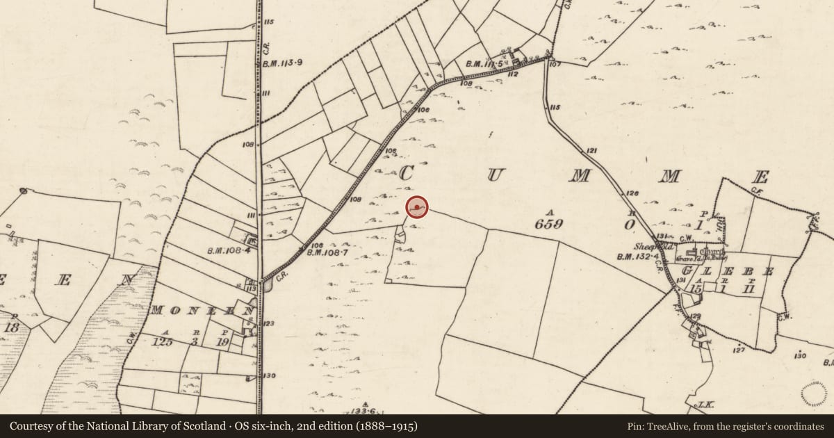 Ordnance Survey six-inch map, 2nd edition (1888–1915) covering the location of Ringfort - cashel, Cummer, County Galway, with a pin at the register's coordinates
