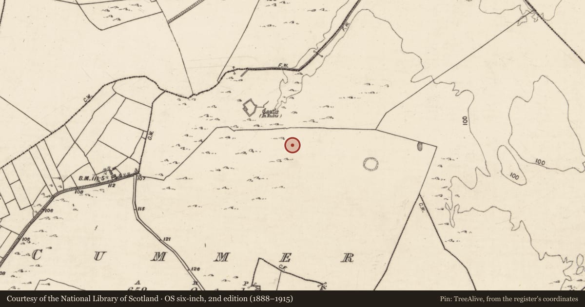 Ordnance Survey six-inch map, 2nd edition (1888–1915) covering the location of Fulacht fia, Cummer, County Galway, with a pin at the register's coordinates