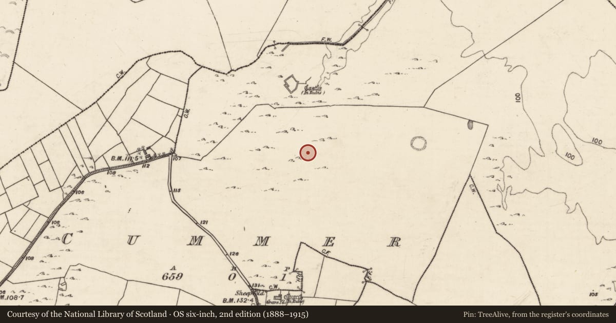 Ordnance Survey six-inch map, 2nd edition (1888–1915) covering the location of Enclosure, Cummer, County Galway, with a pin at the register's coordinates