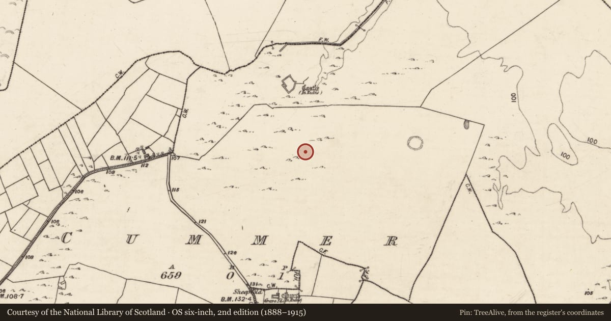 Ordnance Survey six-inch map, 2nd edition (1888–1915) covering the location of House - indeterminate date, Cummer, County Galway, with a pin at the register's coordinates