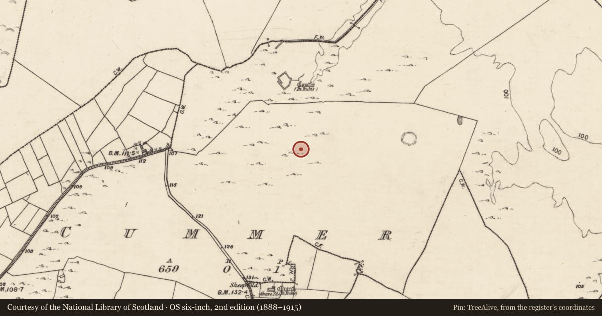 Ordnance Survey six-inch map, 2nd edition (1888–1915) covering the location of House - indeterminate date, Cummer, County Galway, with a pin at the register's coordinates