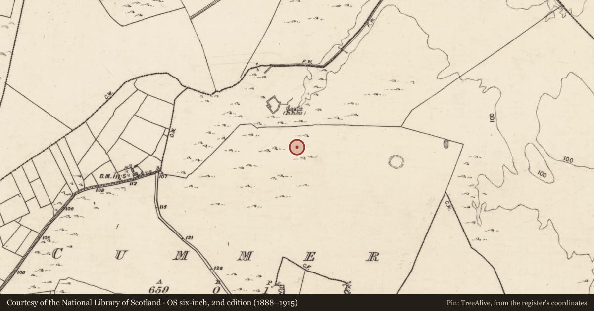 Ordnance Survey six-inch map, 2nd edition (1888–1915) covering the location of Fulacht fia, Cummer, County Galway, with a pin at the register's coordinates