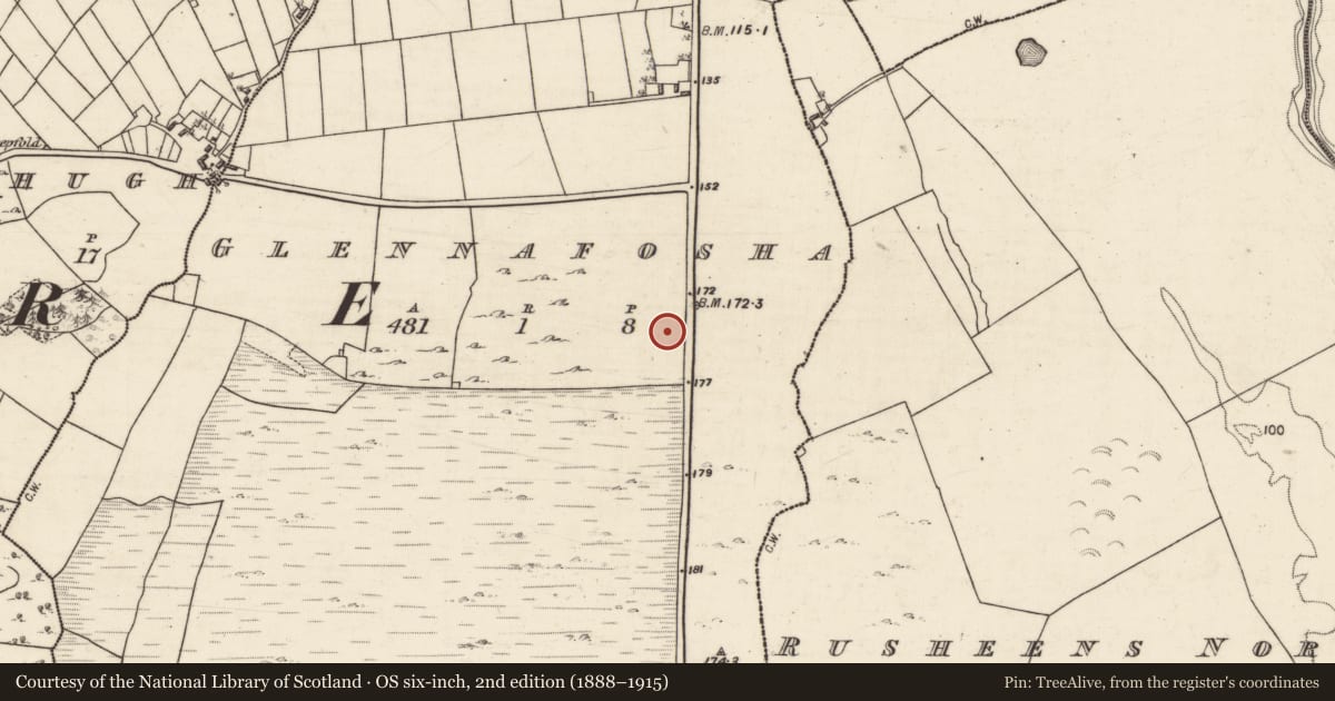Ordnance Survey six-inch map, 2nd edition (1888–1915) covering the location of Ringfort - rath, Glennafosha, County Galway, with a pin at the register's coordinates