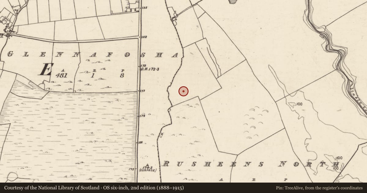 Ordnance Survey six-inch map, 2nd edition (1888–1915) covering the location of Earthwork, Glennafosha, Rusheens North, County Galway, with a pin at the register's coordinates