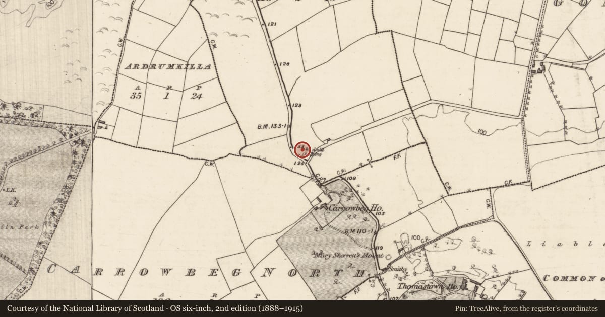 Ordnance Survey six-inch map, 2nd edition (1888–1915) covering the location of Windmill, Johnstown, County Galway, with a pin at the register's coordinates
