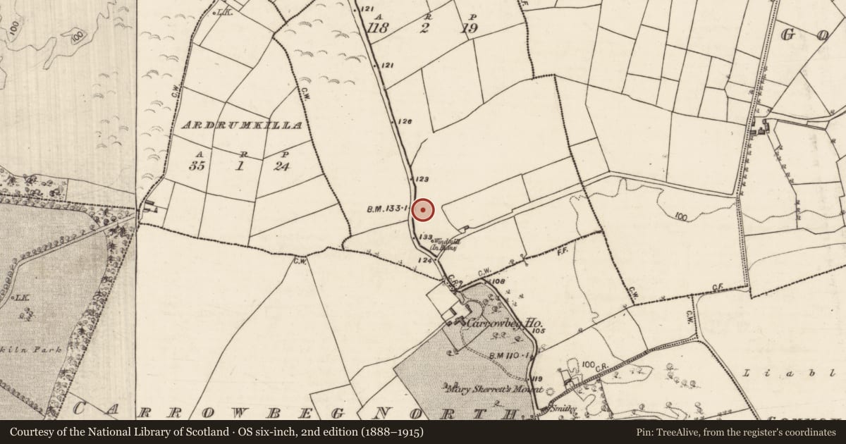 Ordnance Survey six-inch map, 2nd edition (1888–1915) covering the location of Enclosure, Johnstown, County Galway, with a pin at the register's coordinates