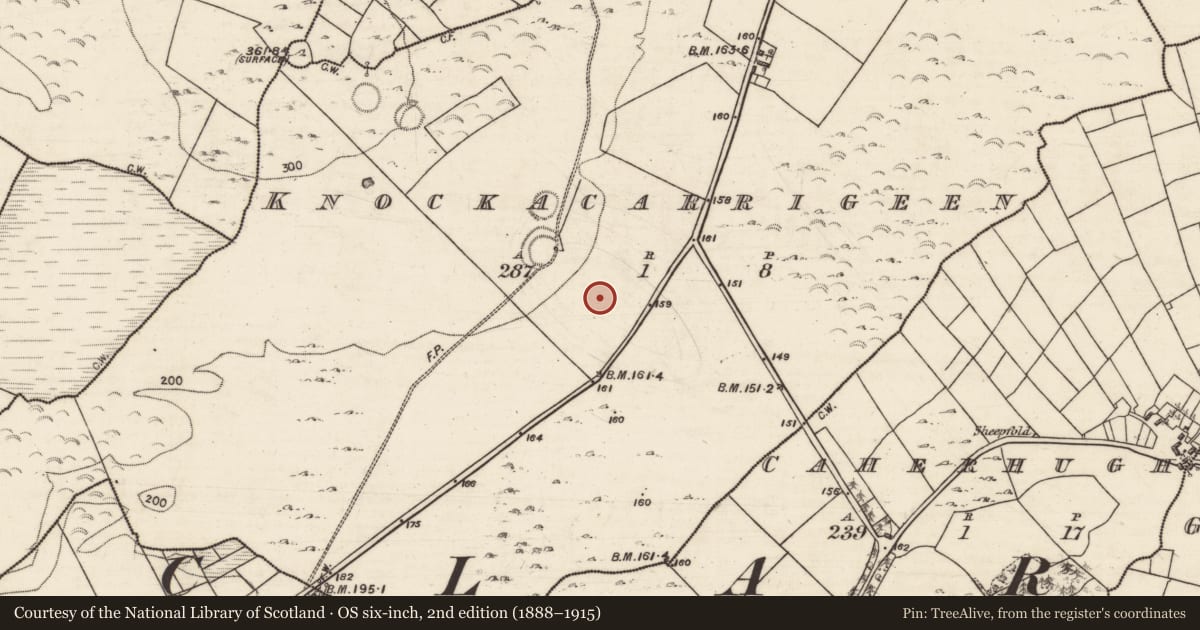 Ordnance Survey six-inch map, 2nd edition (1888–1915) covering the location of Ringfort - rath, Knockacarrigeen, County Galway, with a pin at the register's coordinates