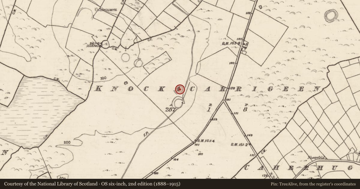 Ordnance Survey six-inch map, 2nd edition (1888–1915) covering the location of Ringfort - rath, Knockacarrigeen, County Galway, with a pin at the register's coordinates