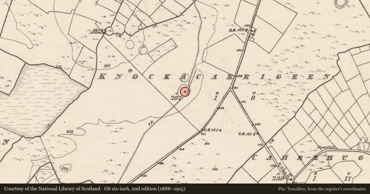Ordnance Survey six-inch map, 2nd edition (1888–1915) covering the location of Ringfort - rath, Knockacarrigeen, County Galway, with a pin at the register's coordinates