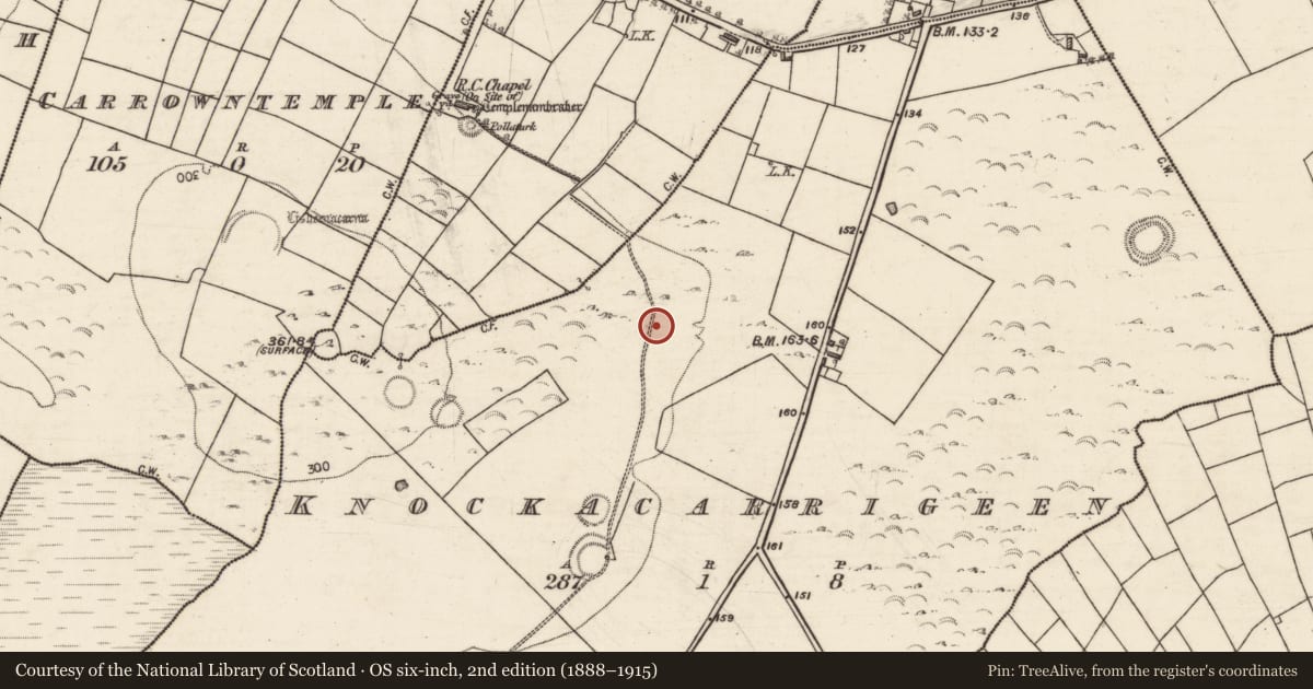 Ordnance Survey six-inch map, 2nd edition (1888–1915) covering the location of Field system, Knockacarrigeen, County Galway, with a pin at the register's coordinates
