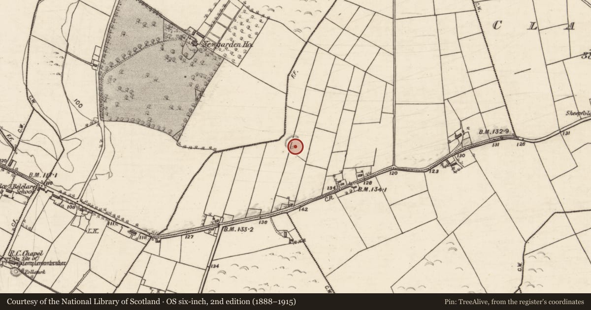Ordnance Survey six-inch map, 2nd edition (1888–1915) covering the location of Ringfort - rath, Polldarragh, County Galway, with a pin at the register's coordinates