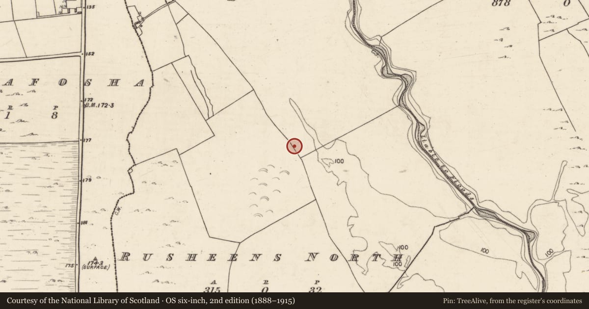 Ordnance Survey six-inch map, 2nd edition (1888–1915) covering the location of Enclosure, Rusheens North, County Galway, with a pin at the register's coordinates